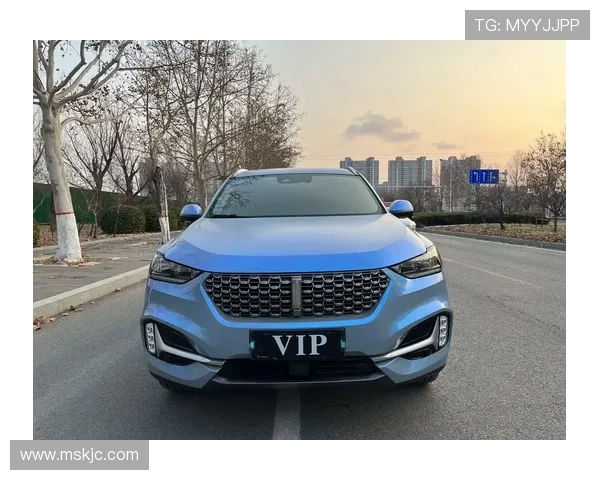 2.0T+四排气，新款长城VV6亮相，落地14万，实车真霸气